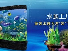 21世纪鱼缸水族维护公司
