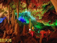 誠(chéng)志天鴻