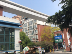 河南大果转租网1