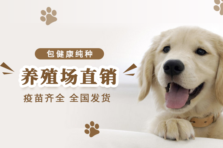 眾信犬舍