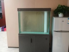 北京魚缸清洗