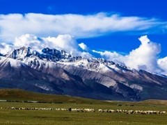 郑州特价旅游