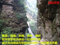誠(chéng)志天鴻