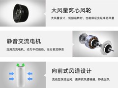 广州甲醛治理