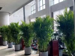 天津海明园艺工程有限公司
