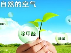 天津除醛环保科技有限公司