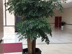卢湾园林设计