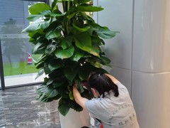 海南尚谷植颜园林景观有限公司
