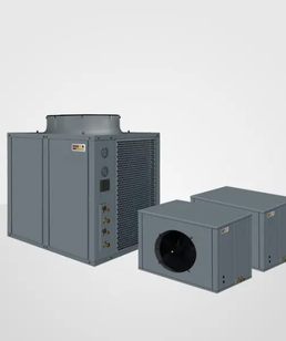德能乐鱼（中国）保养