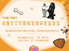 嘉兴训犬学校
