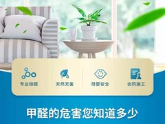 皇苹果除甲醛公司