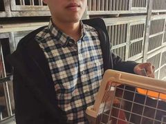 上海松江区流浪猫宠物猫流浪狗小动物救助领养救援收容收养中心站