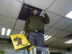 上格生物科技有限公司