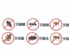保定灭鼠公司电话