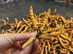 佛山名酒回收