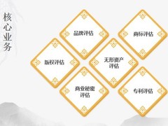 好评评估咨询