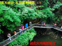 誠志天鴻