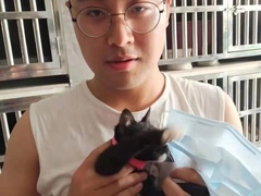 上海长宁区流浪猫狗宠物小动物收养收容救助领养中心基地站