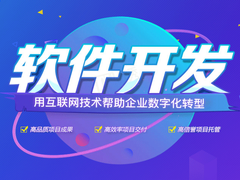 拉萨软件开发