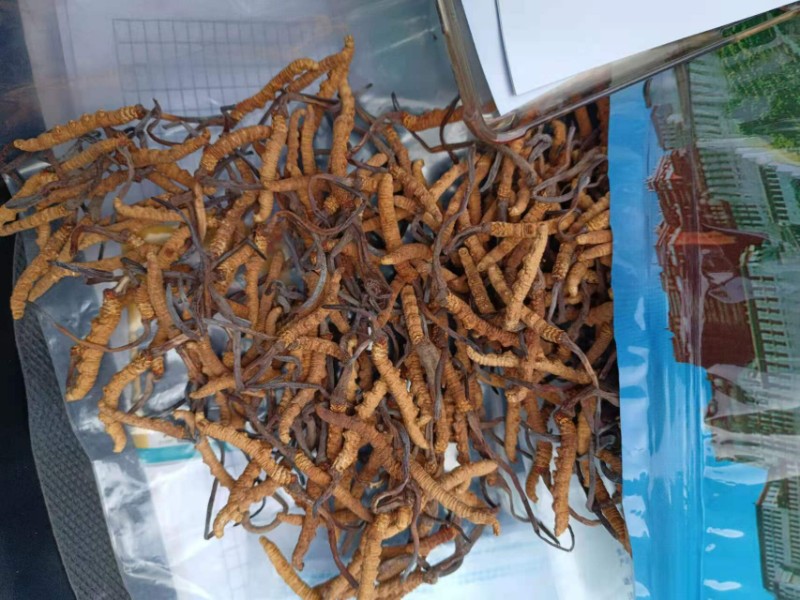 上門回收各種酒水煙酒禮品