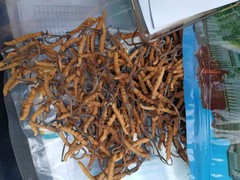 上门回收各种酒水烟酒礼品