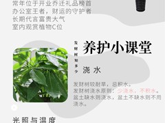 上海园艺