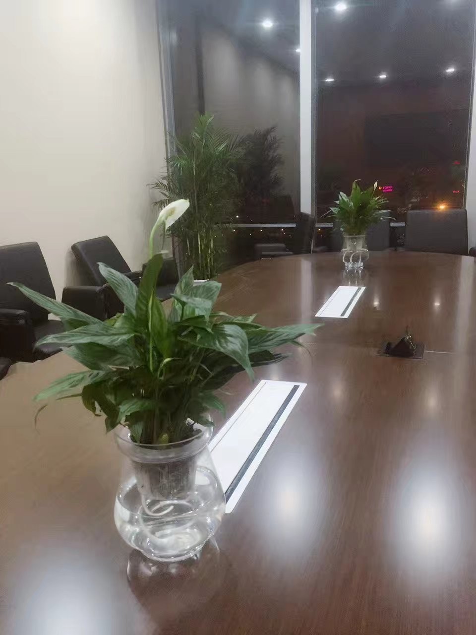 北京东城区会议室绿植租摆