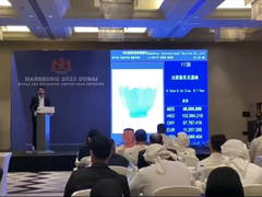 哈佈斯堡國際拍賣有限公司