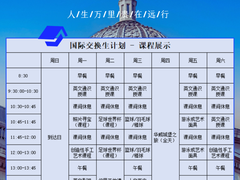 成都鑫慧咨询公司