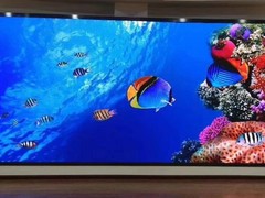 赣州墙体喷绘定制