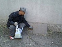 绵阳灭鼠公司