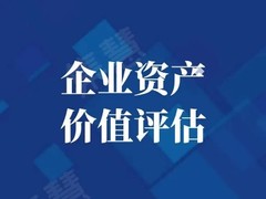广元资产评估公司