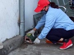 温州杀虫灭鼠公司