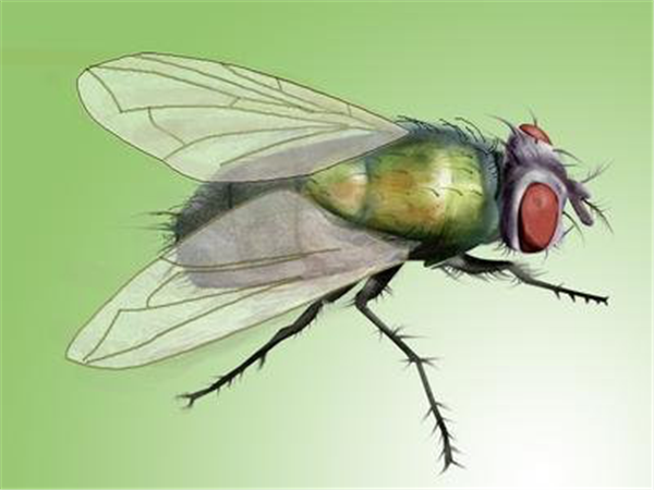 上格生物科技有限公司