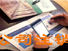 长沙百策通财务咨询有限责任公司