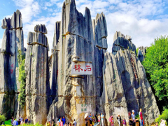 上海瞧一瞧国际旅行社有限公司