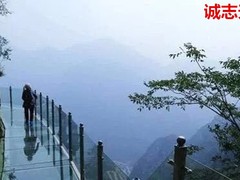 誠志天鴻