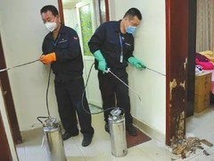 威海杀虫灭鼠公司