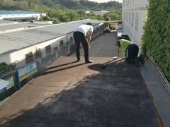 惠州白蚁防治