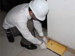 绵阳灭鼠公司
