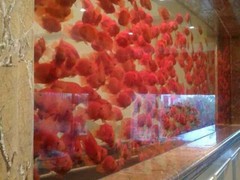 无锡冰之神水族制冷经营