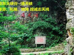 誠(chéng)志天鴻