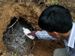 菏泽杀虫灭鼠公司