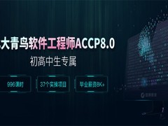 北大青鸟深圳校区