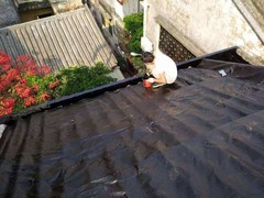 金华防水补漏