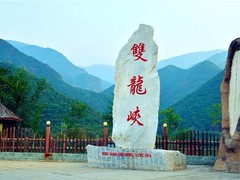 誠志天鴻