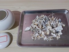 上海宠物火化