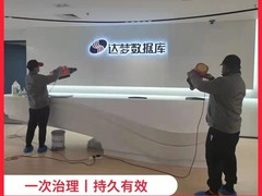 皇苹果除甲醛公司