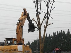 芜湖园林工程公司