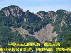 誠志天鴻